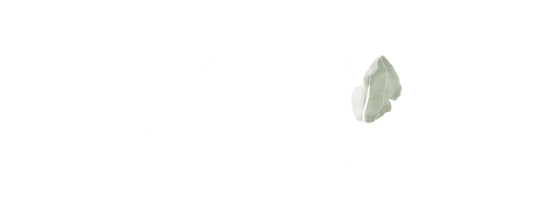 НОВОСТЬ Гастрономическое путешествия SAGE и VOYAH в Карелию